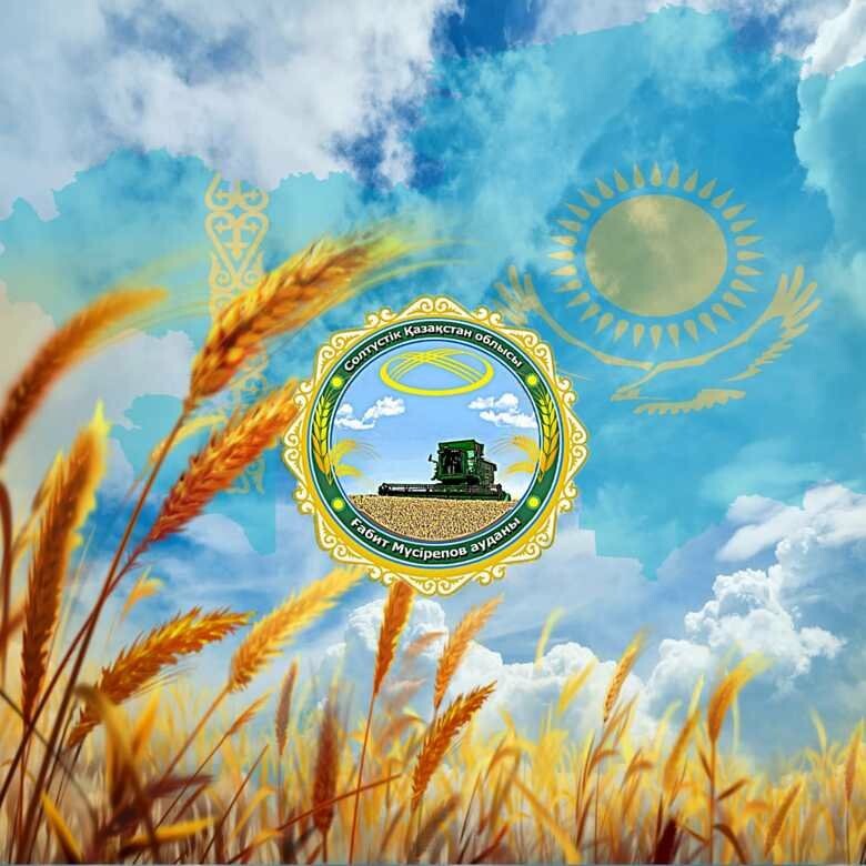 Казахстан габита мусрепова. Район имени габита мусрепова. Казахстан. Школа 43 габита мусрепова петропавловск. Казахстан ско с.